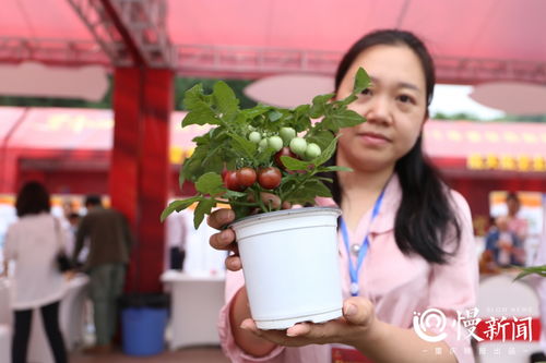 2021年重慶高新區(qū)科技活動(dòng)周盛大啟幕 科技服務(wù)賦能創(chuàng)新發(fā)展