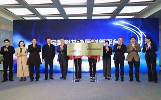 北京金融科技與專業(yè)服務(wù)創(chuàng)新示范區(qū)核心區(qū)建設(shè)啟動(dòng) 張亮副秘書長(zhǎng)出席座談并見(jiàn)證